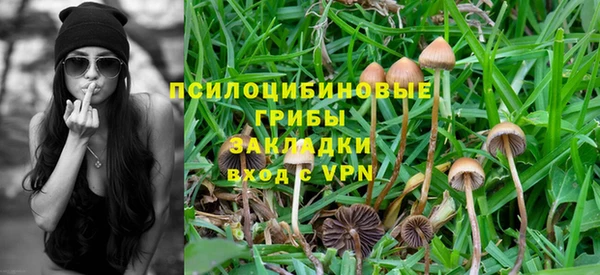 твердый Абинск
