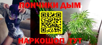 индика Славгород