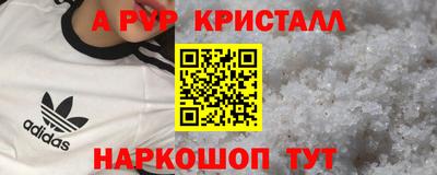 индика Славгород