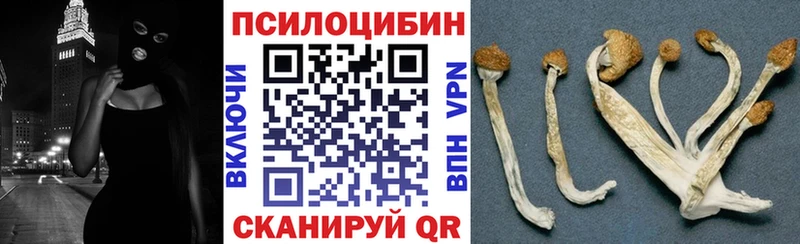 Галлюциногенные грибы MAGIC MUSHROOMS  Рязань 
