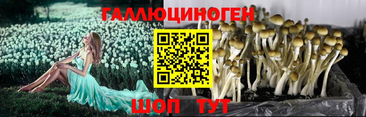 Галлюциногенные грибы мицелий  Вход с VPN  Рязань 